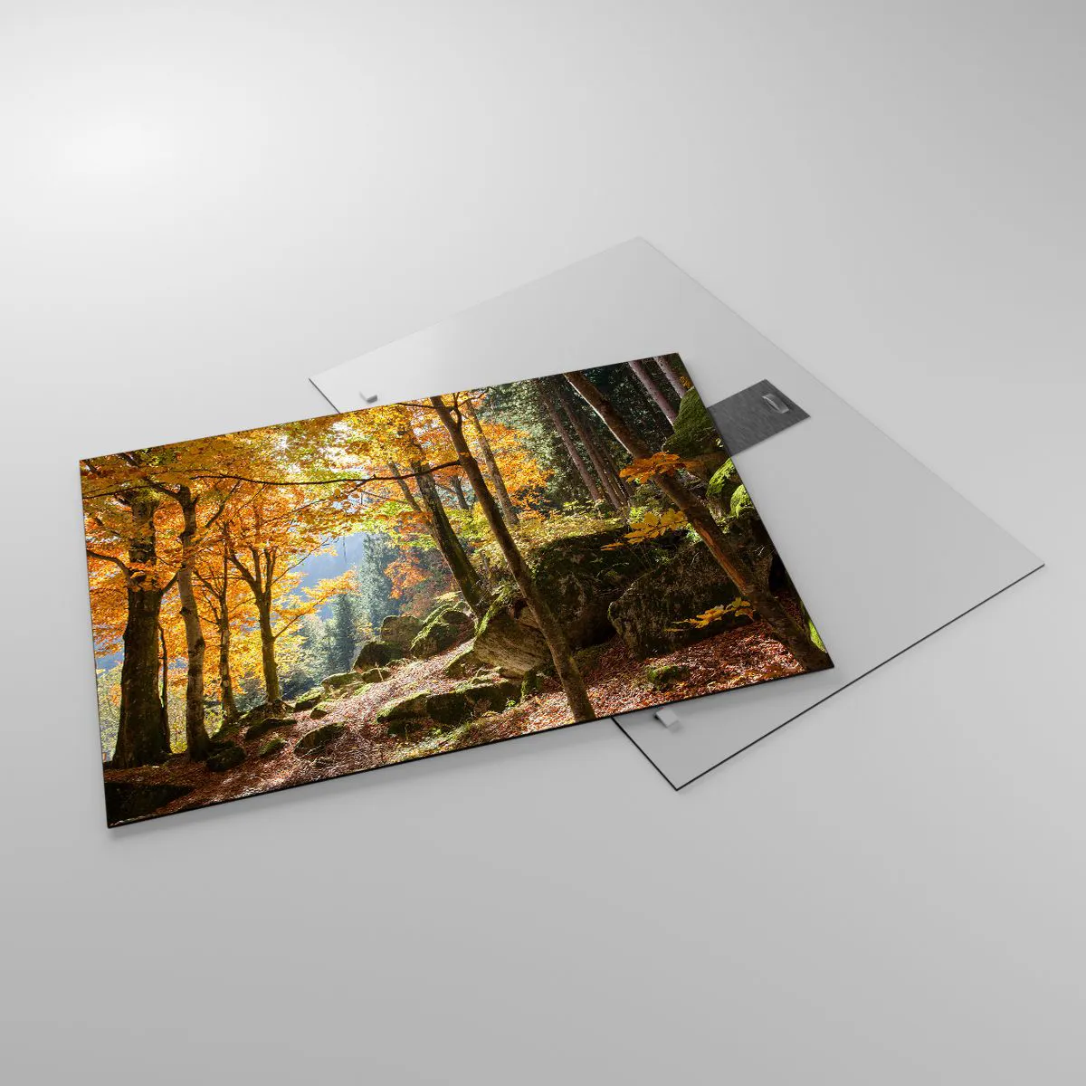 Obraz na skle - Jesenný les so slnečnými lúčmi a kameňmi - 70x50cm - Čas na odpočinok - Moderná nástenná dekorácia do obývacej izby a spálne ARTTOR