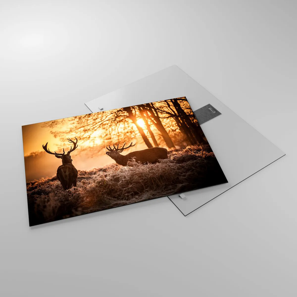 Tablou pe sticlă - Două căprioare într-o scenă de pădure la răsărit - 70x50cm - Visul unui vânător - Decorațiune modernă pentru perete pentru living și dormitor ARTTOR