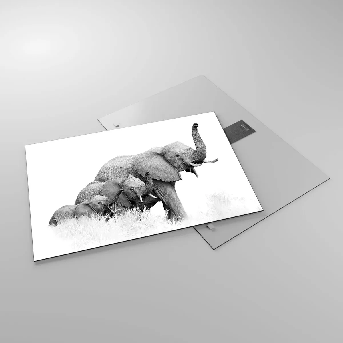 Impression sur verre - Image sur verre - Famille d'éléphants noirs et blancs dans la nature - 70x50cm - Un, deux, trois - Décoration murale moderne pour le salon et la chambre ARTTOR