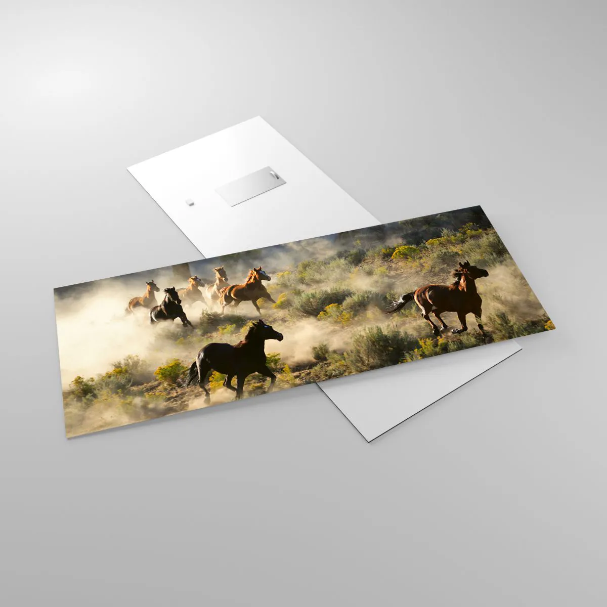 Glasbild - Bild auf glas - Rivalität – Freiheit oder männliche Stärke? - 100x40 cm