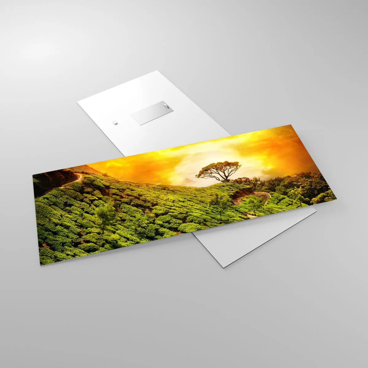 Impression sur verre - Image sur verre - Un chemin sinueux, une pente verte - 100x40 cm