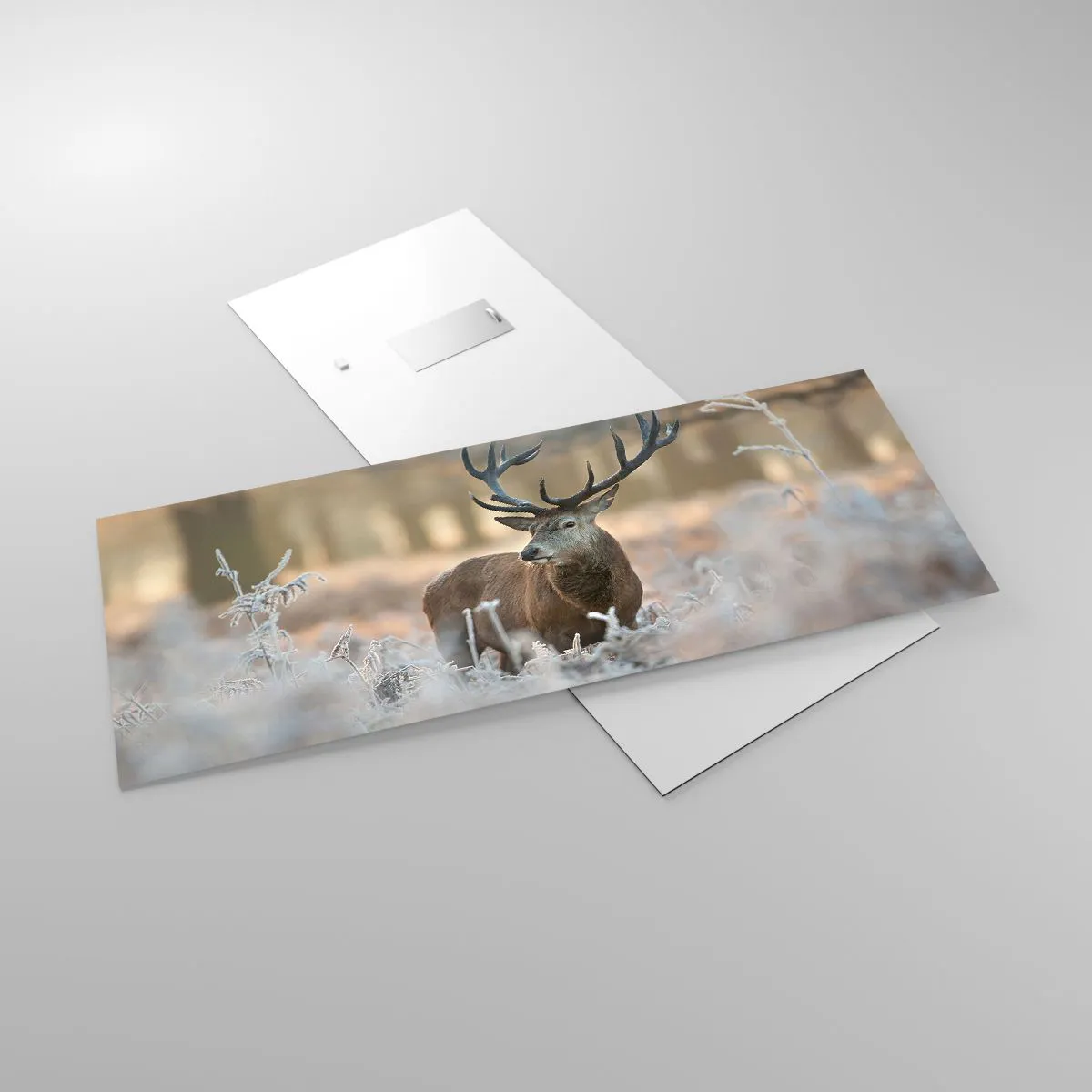 Obraz na szkle - Rześki poranek - 100x40 cm