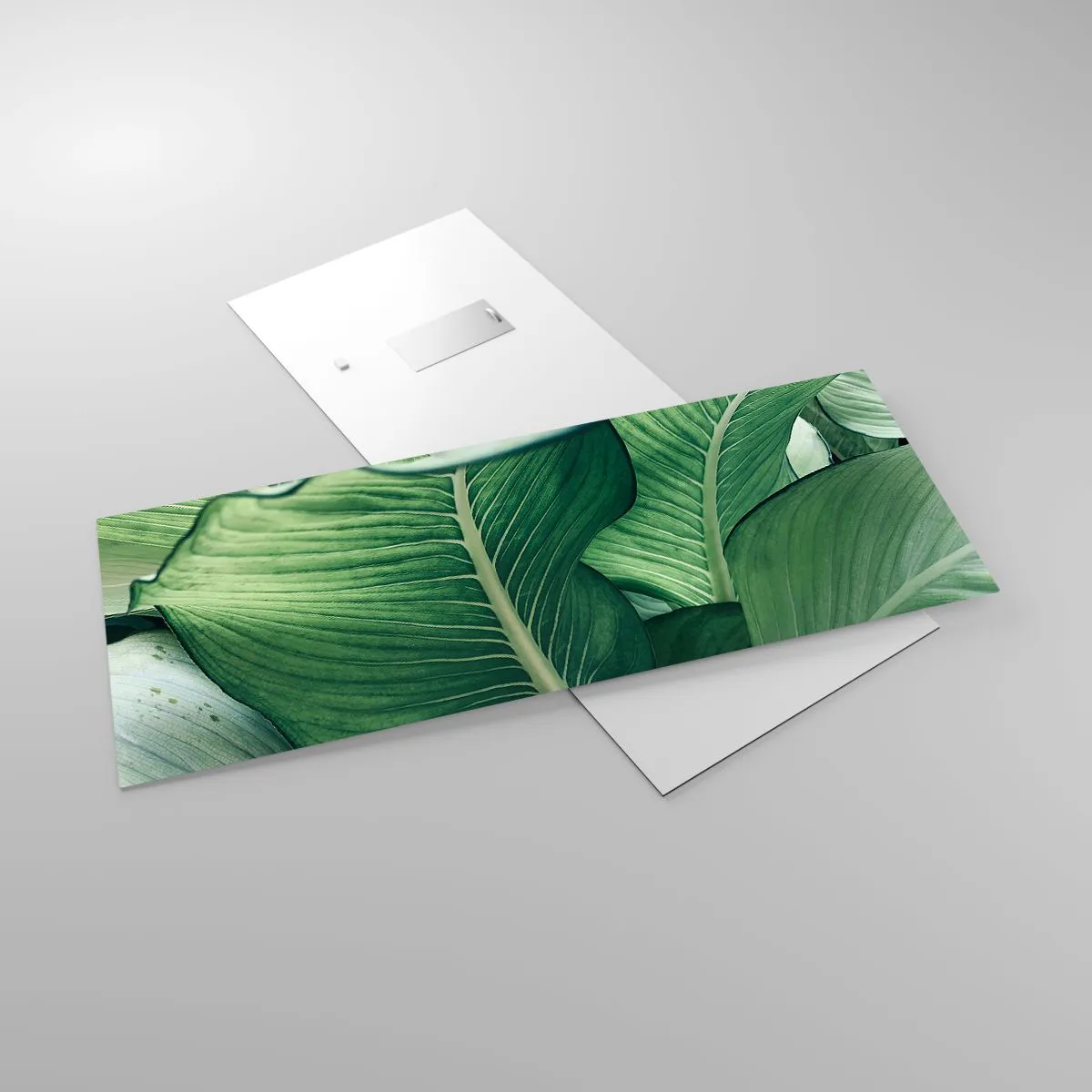 Impression sur verre - Image sur verre - Une vie intensément verte - 100x40 cm