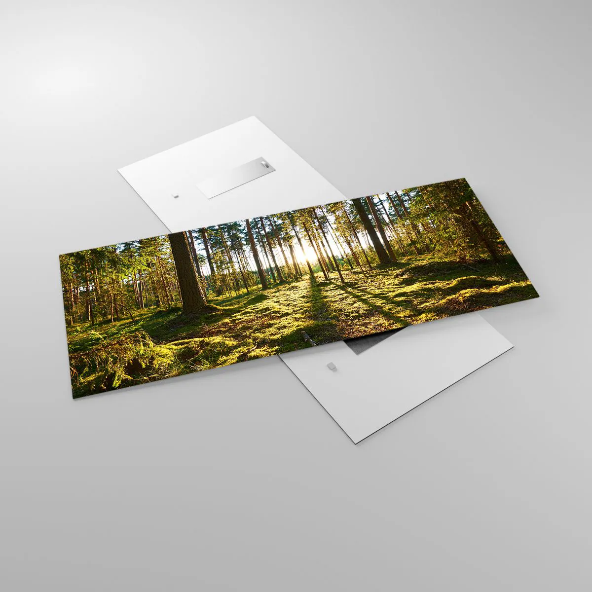 Impression sur verre - Image sur verre - Forêt verte illuminée par la lumière du soleil sur la mousse - 120x50cm - … Derrière les sept forêts - Décoration murale moderne pour le salon et la chambre ARTTOR