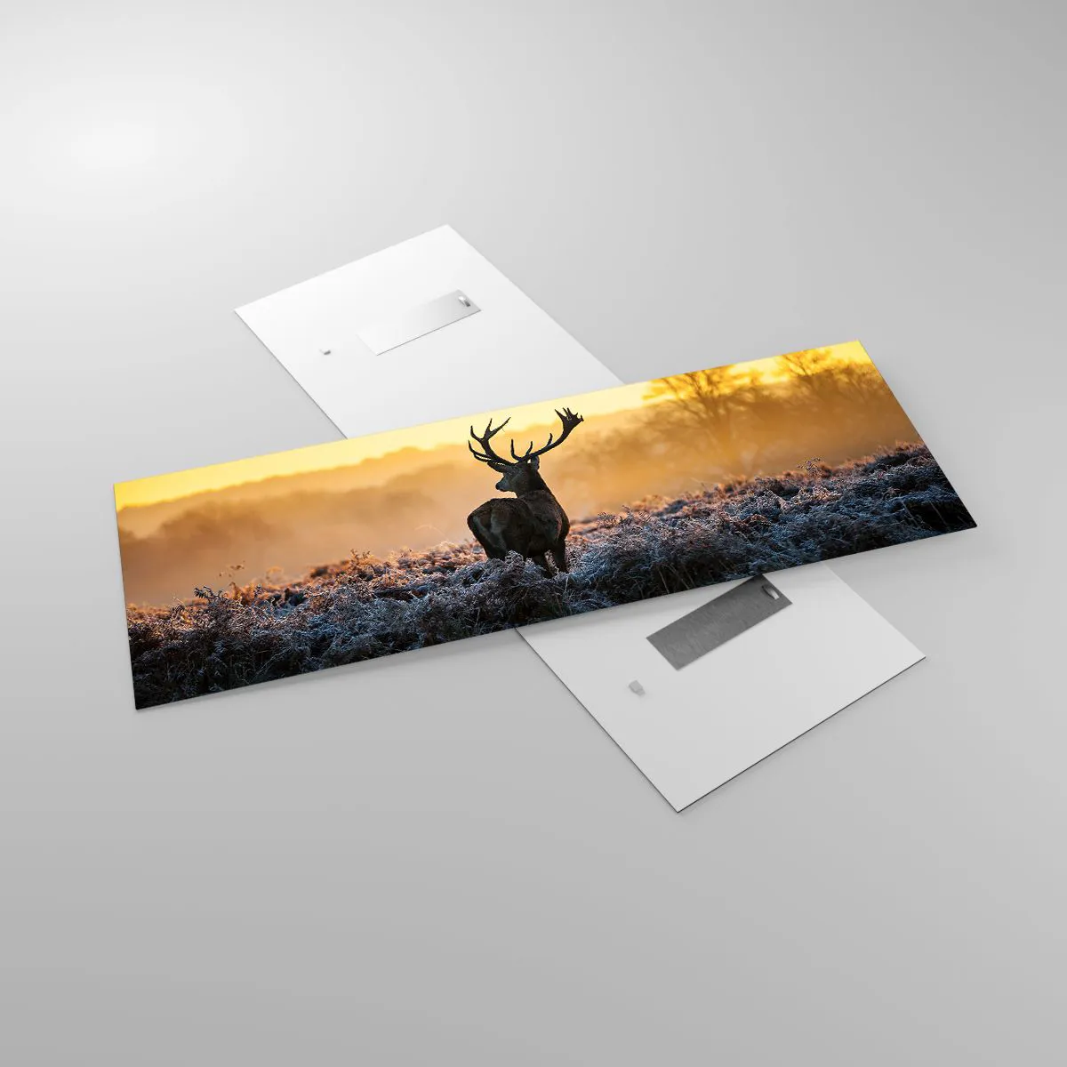 Üveg kép - Megkoronázott a birtokán - 140x50 cm