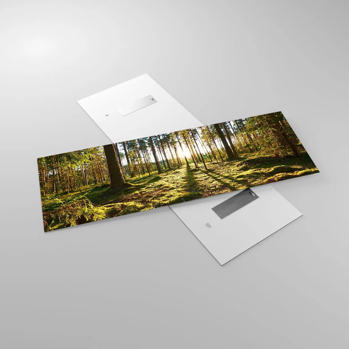 Impression sur verre - Image sur verre - Forêt verte illuminée par la lumière du soleil sur la mousse - 140x50cm - … Derrière les sept forêts - Décoration murale moderne pour le salon et la chambre ARTTOR