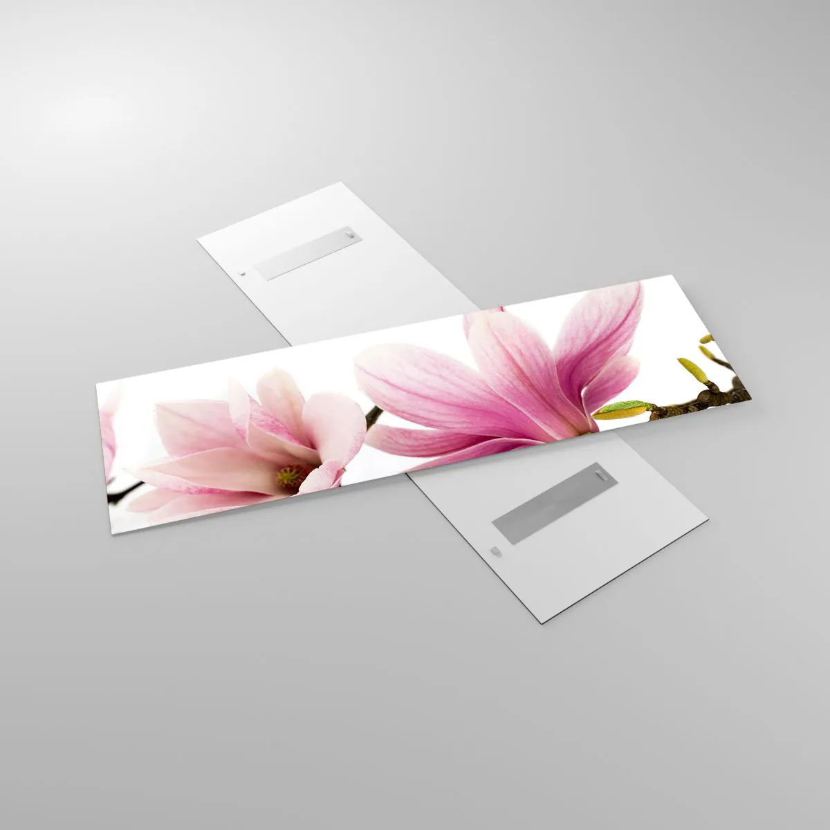 Glass picture - Delicate Like a Spring Breeze - 160x50 cm