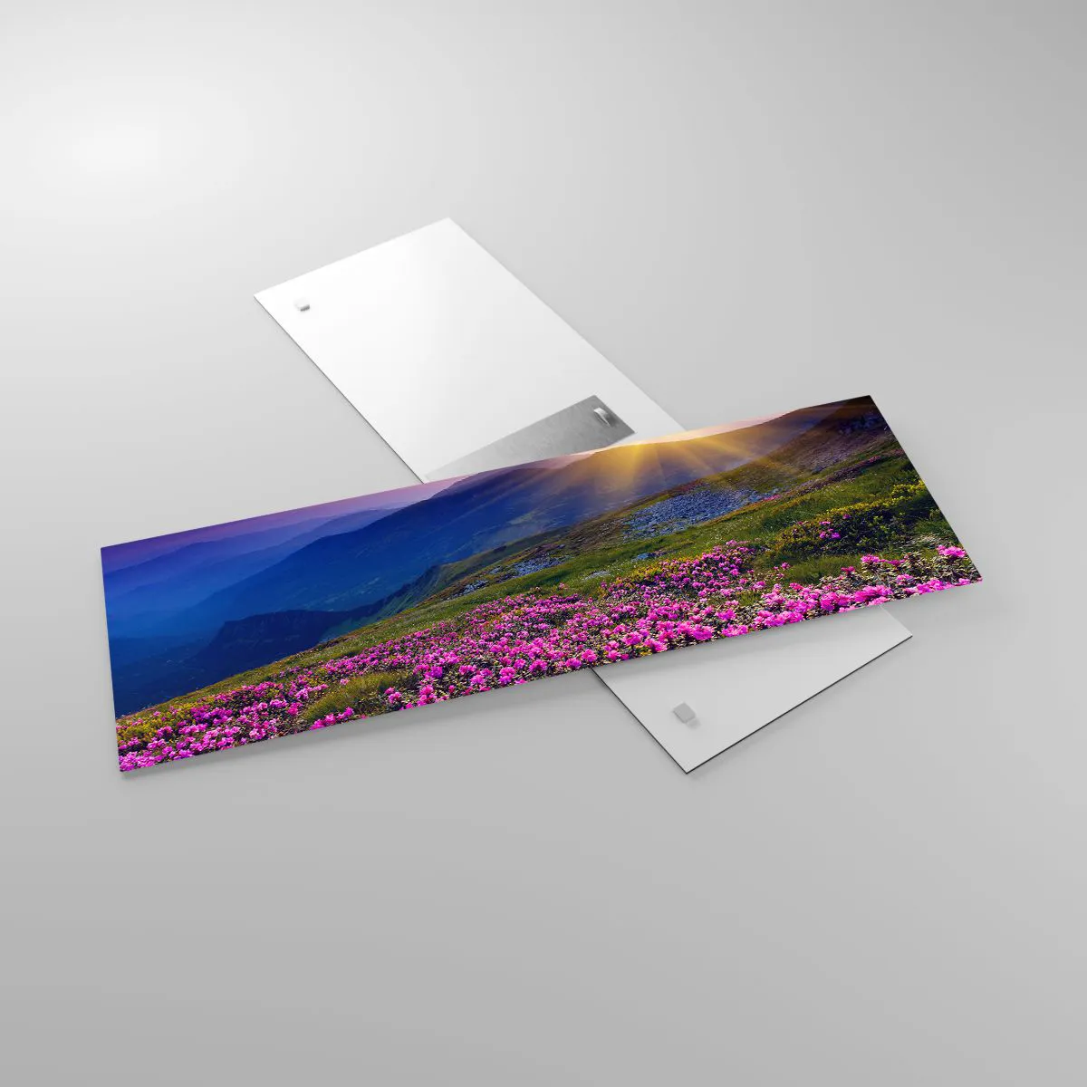 Quadro su vetro - Odore di mugo e profumo di erbe - 90x30 cm