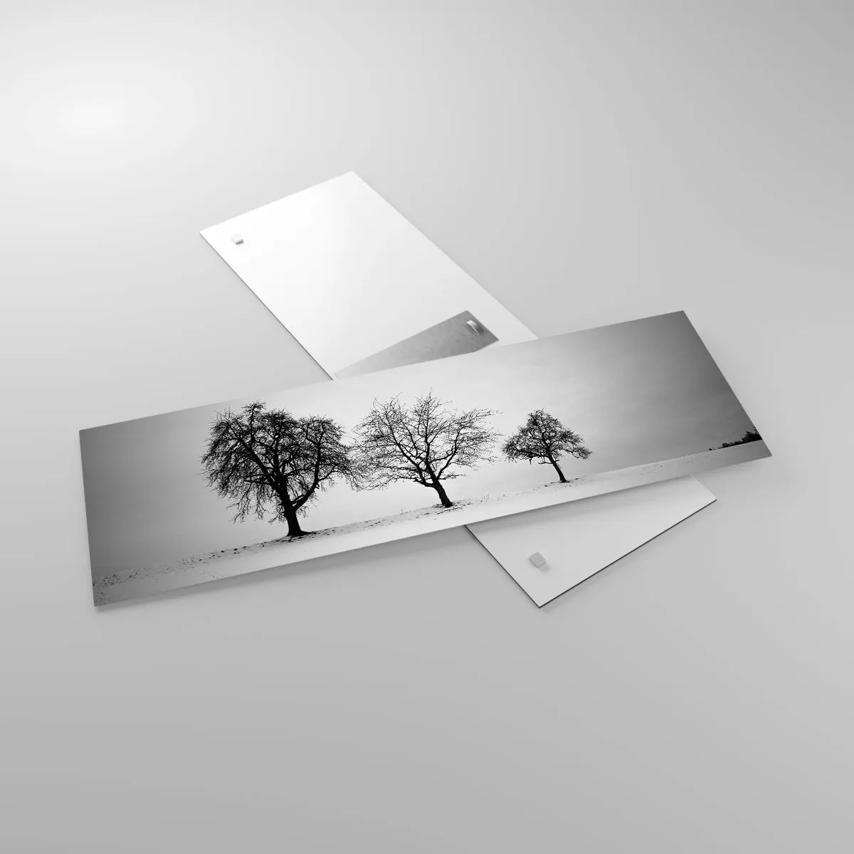 Impression sur verre - Image sur verre - A quoi rêvent-ils? - 90x30 cm