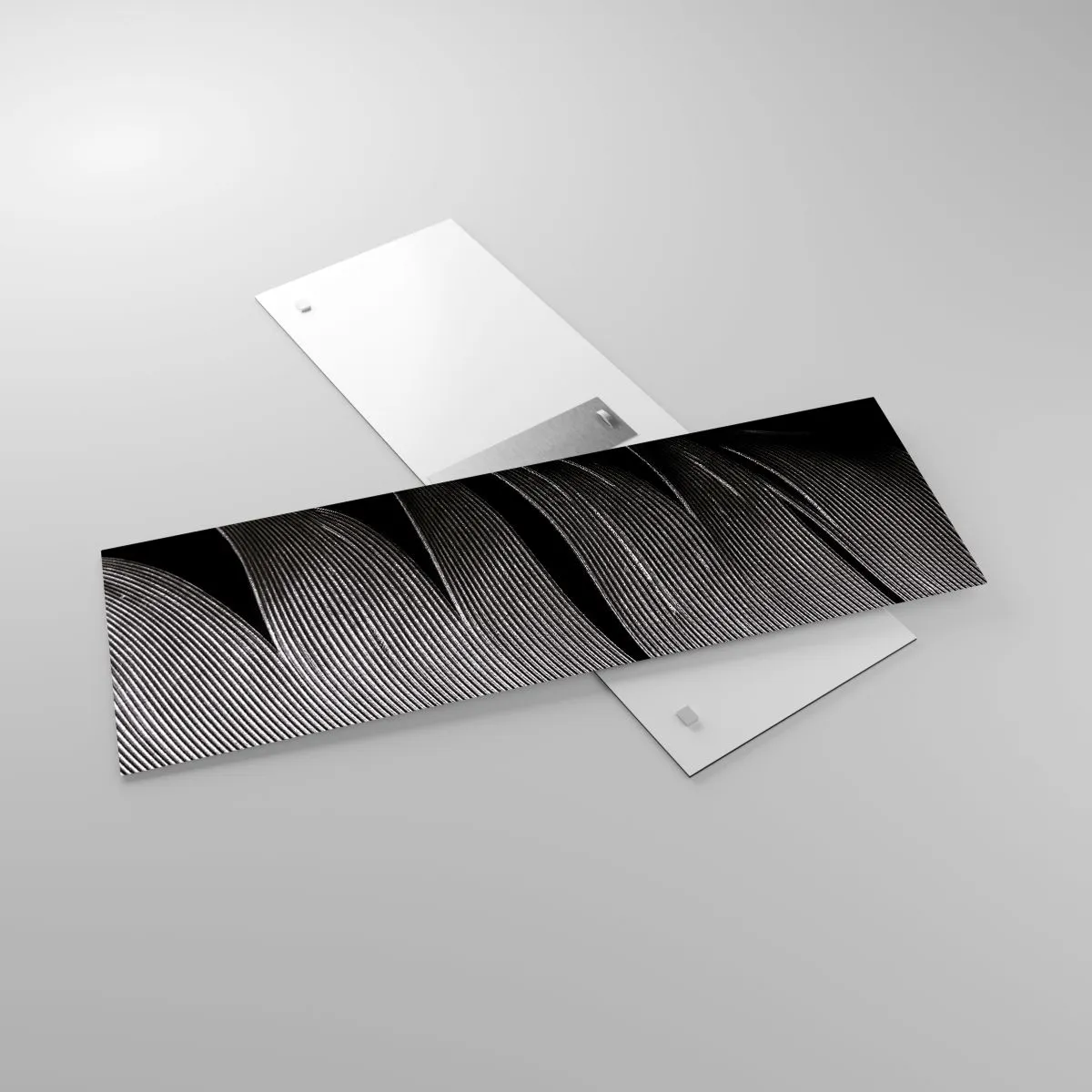 Glastavla - Bild på glas - Fjäder - en underbar konstruktion - 90x30 cm