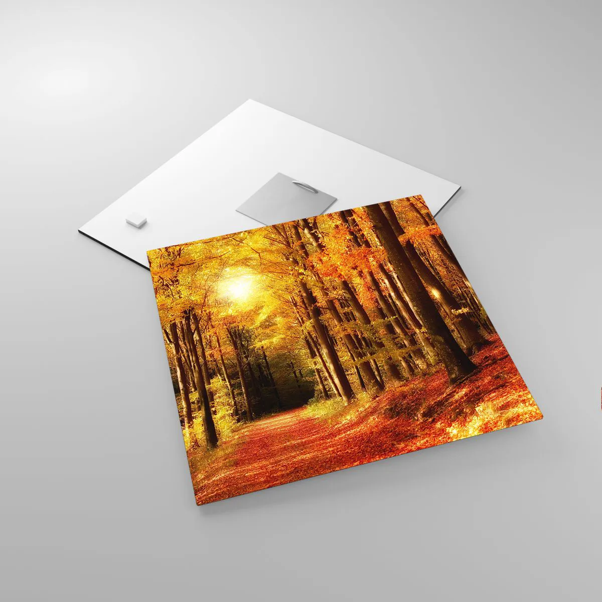 Tablou pe sticlă - Toamna de aur pe un drum forestier - 30x30 cm