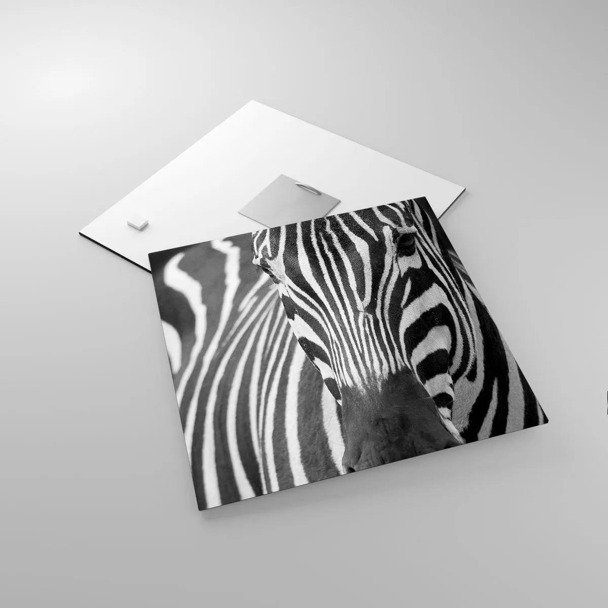 Quadro em vidro - O mundo é preto e branco - 30x30 cm