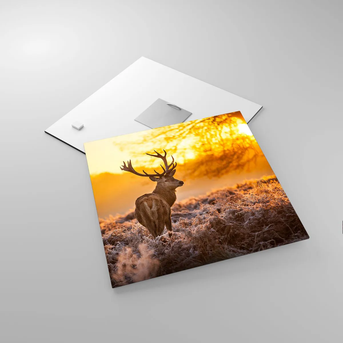 Üveg kép - Az őszi erdő királya - 30x30 cm