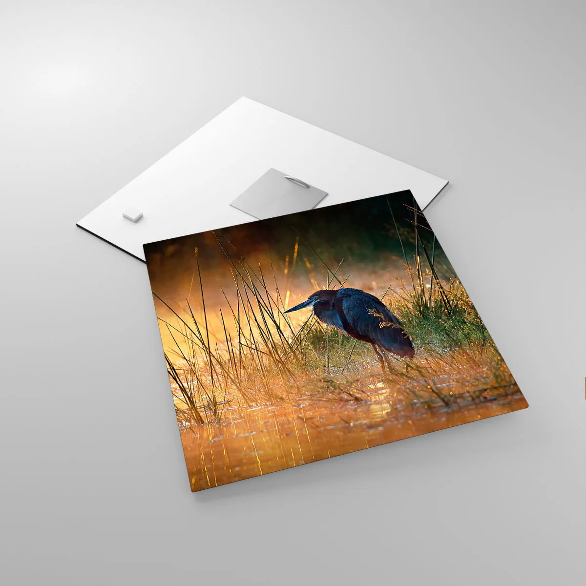 Üveg kép - Hagyjatok békén ezekkel a fotókkal - 30x30 cm