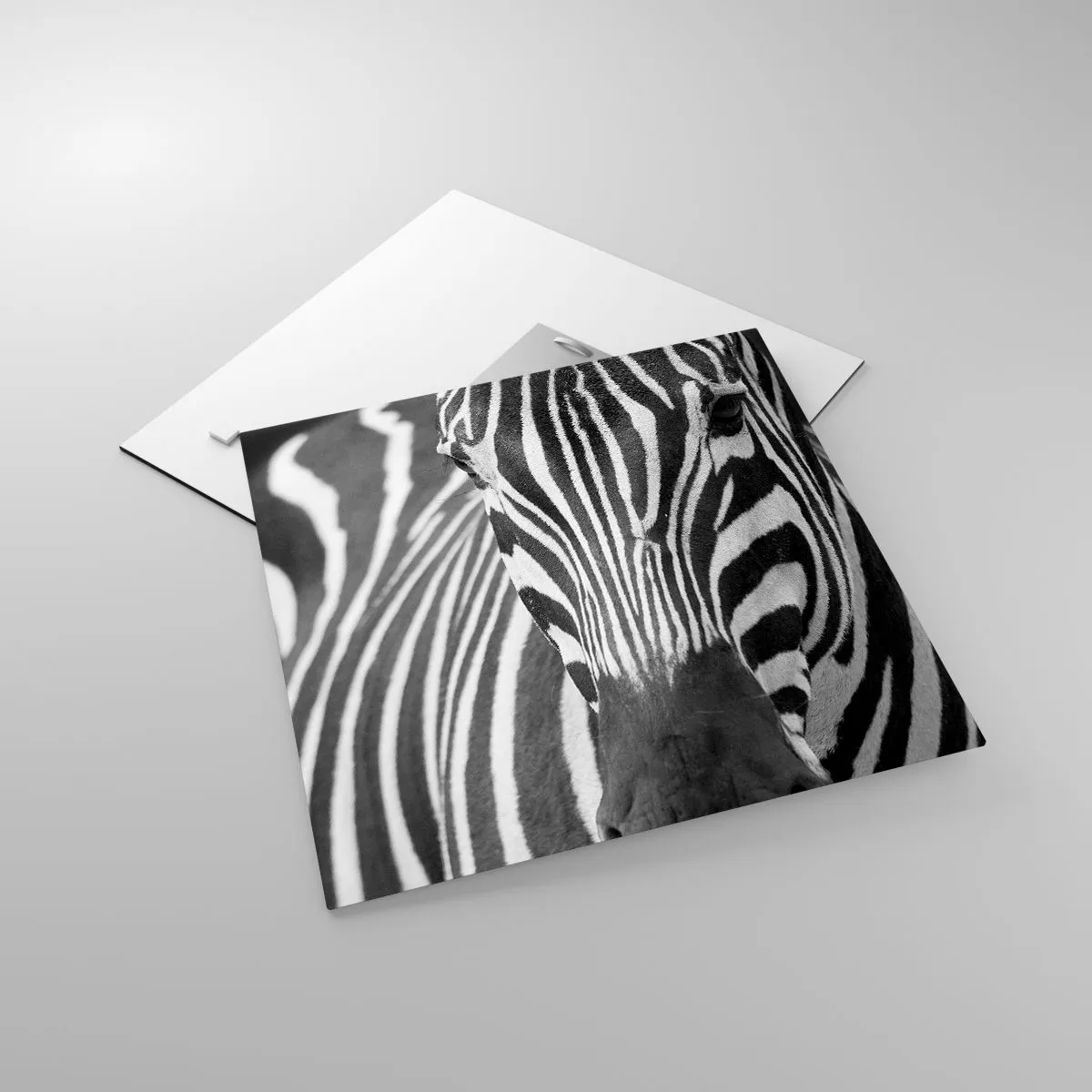 Quadro su vetro - Il mondo è in bianco e nero - 40x40 cm