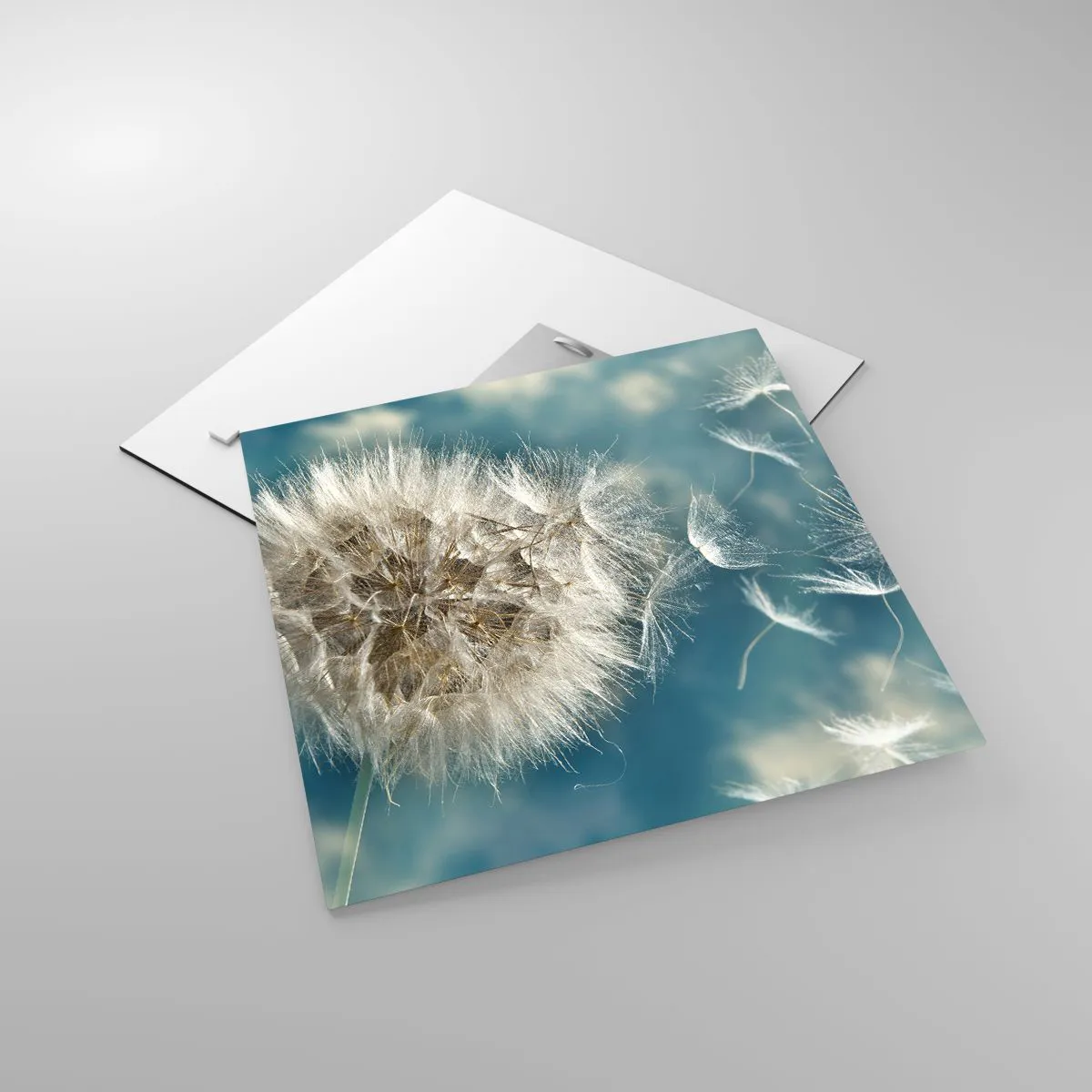 Obraz na szkle - Oddech anioła - 40x40 cm