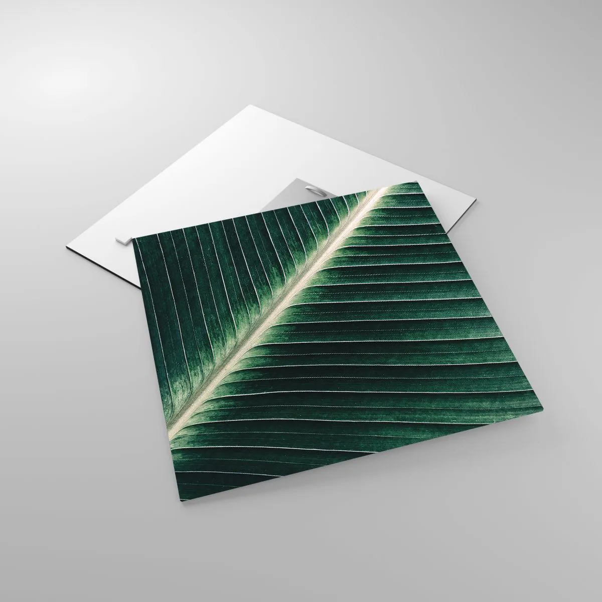 Glass picture - Rhythm of Nature - 40x40 cm