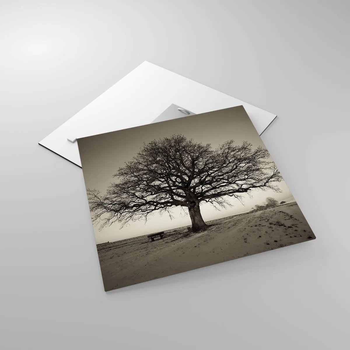 Impression sur verre - Image sur verre - D'ici à l'éternité - 40x40 cm