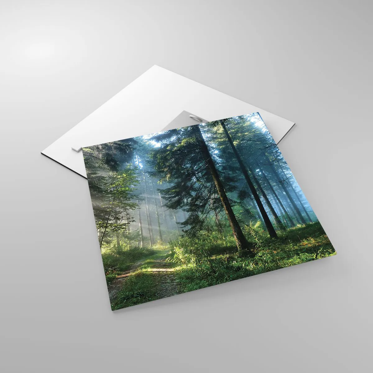 Obraz na szkle - Rozpromieniony o poranku - 40x40 cm