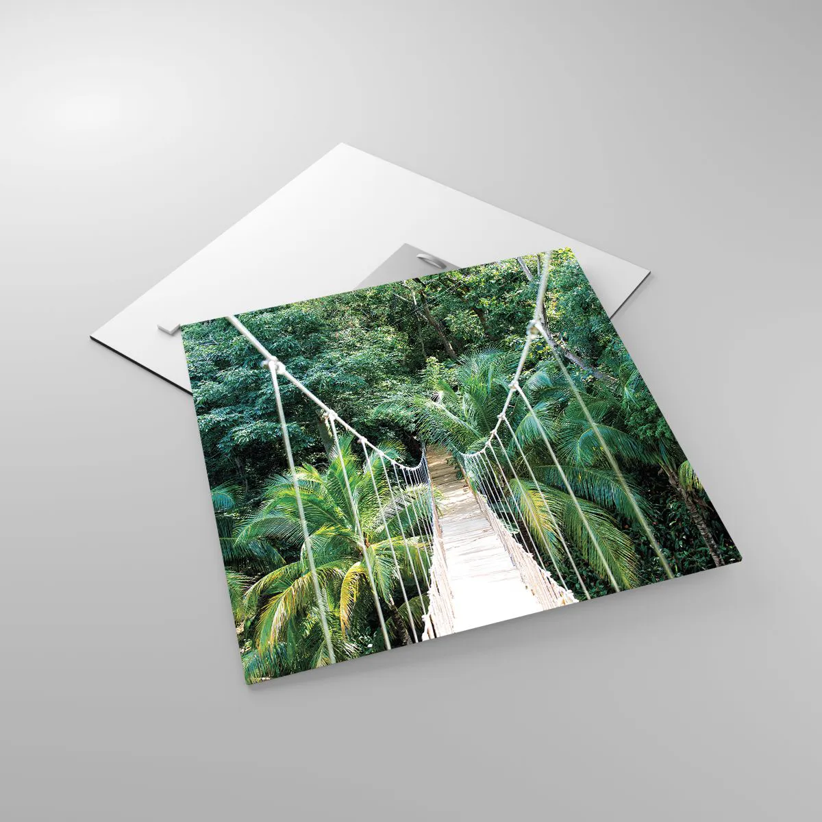 Impression sur verre - Image sur verre - Welcome to the jungle! - 40x40 cm