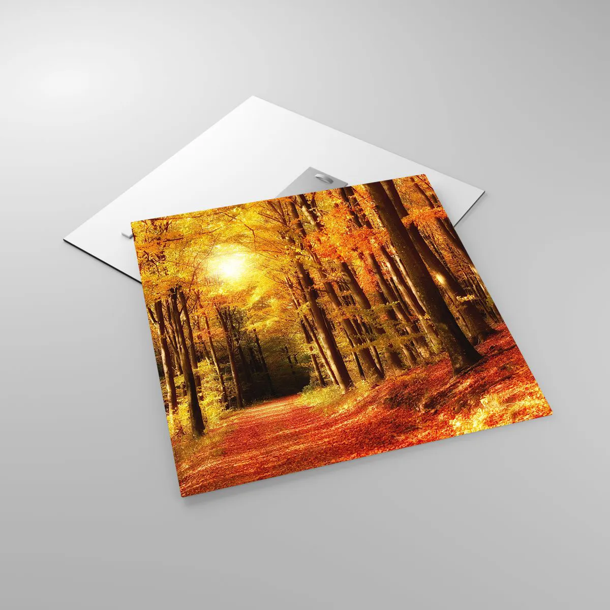 Impression sur verre - Image sur verre - Automne doré sur une route forestière - 50x50 cm