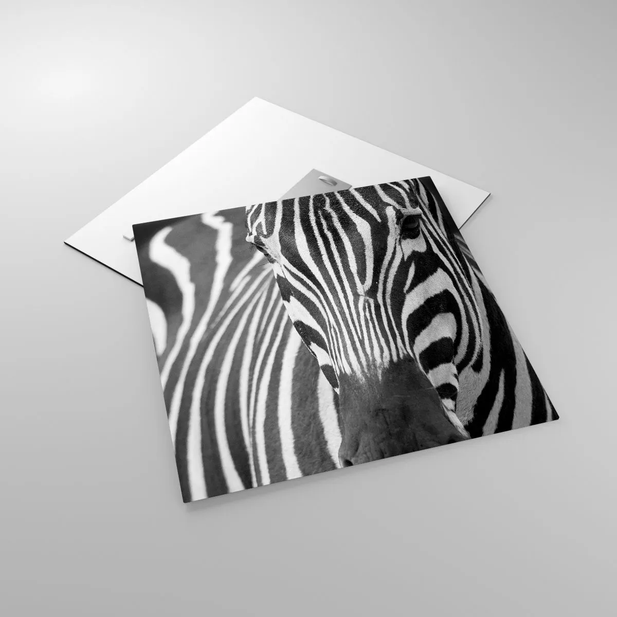 Impression sur verre - Image sur verre - Le monde est noir et blanc - 50x50 cm