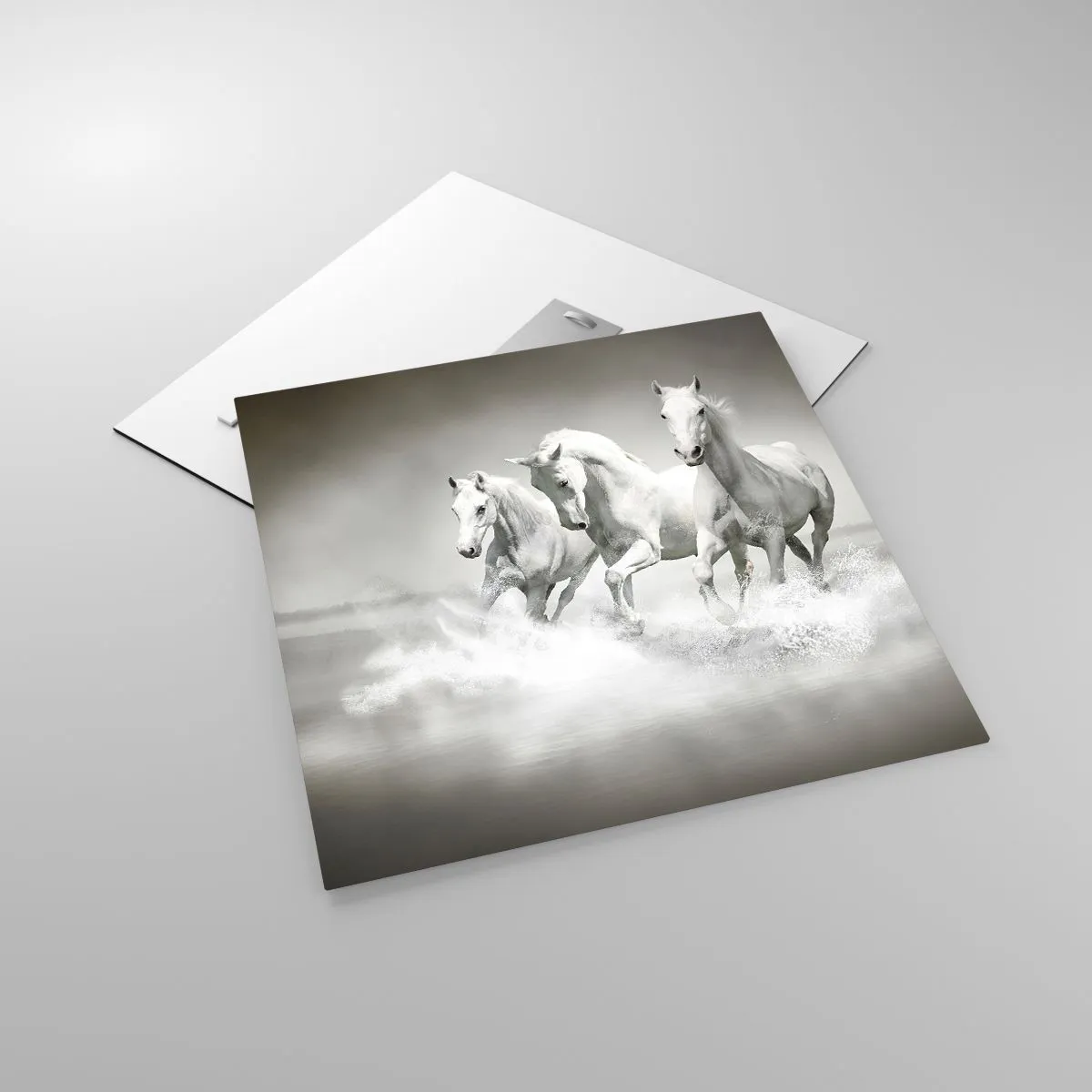 Obraz na skle - Bílé šílenství - 50x50 cm