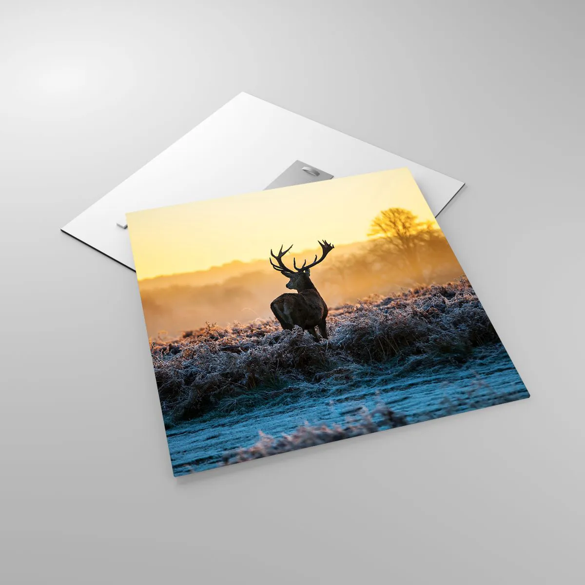 Billede på glas - Kronet på sine godser - 50x50 cm