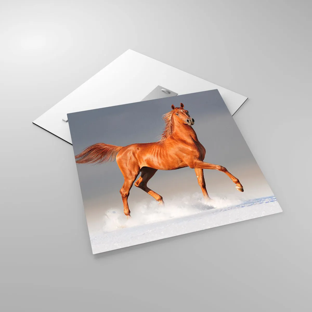 Üveg kép - Táncoló szépség - 50x50 cm