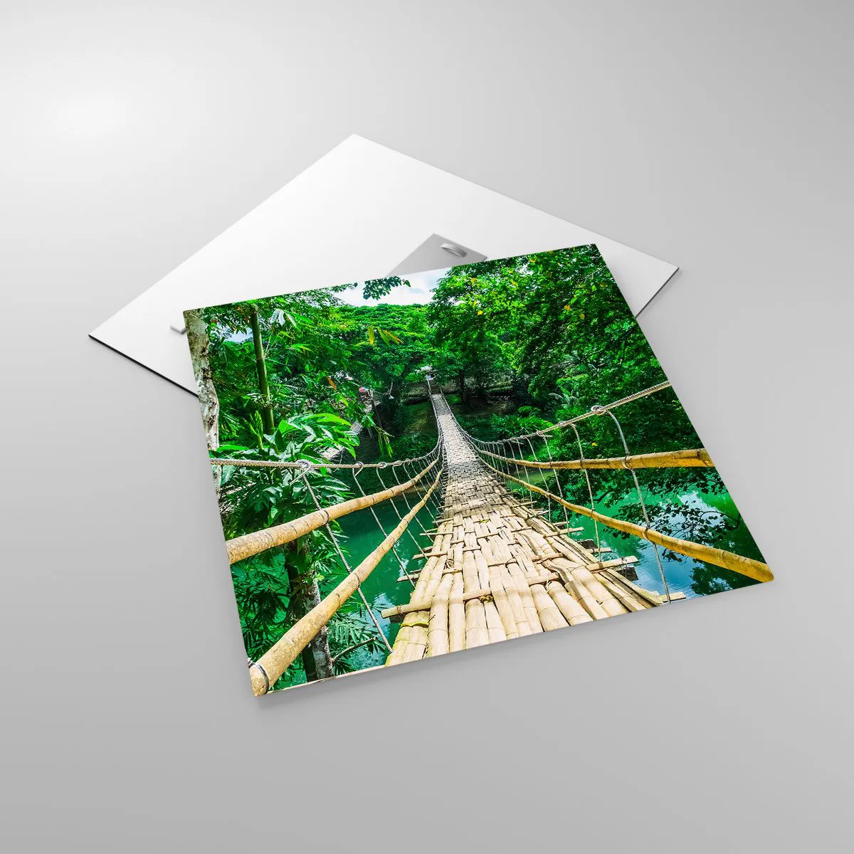 Üveg kép - Majomhíd a zöld felett - 50x50 cm