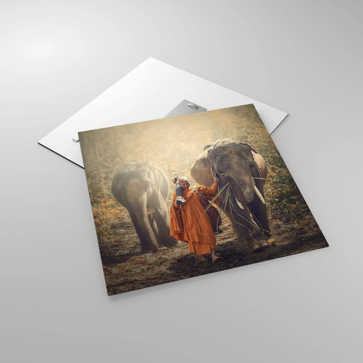 Billede på glas - Fuld forståelse - 50x50 cm