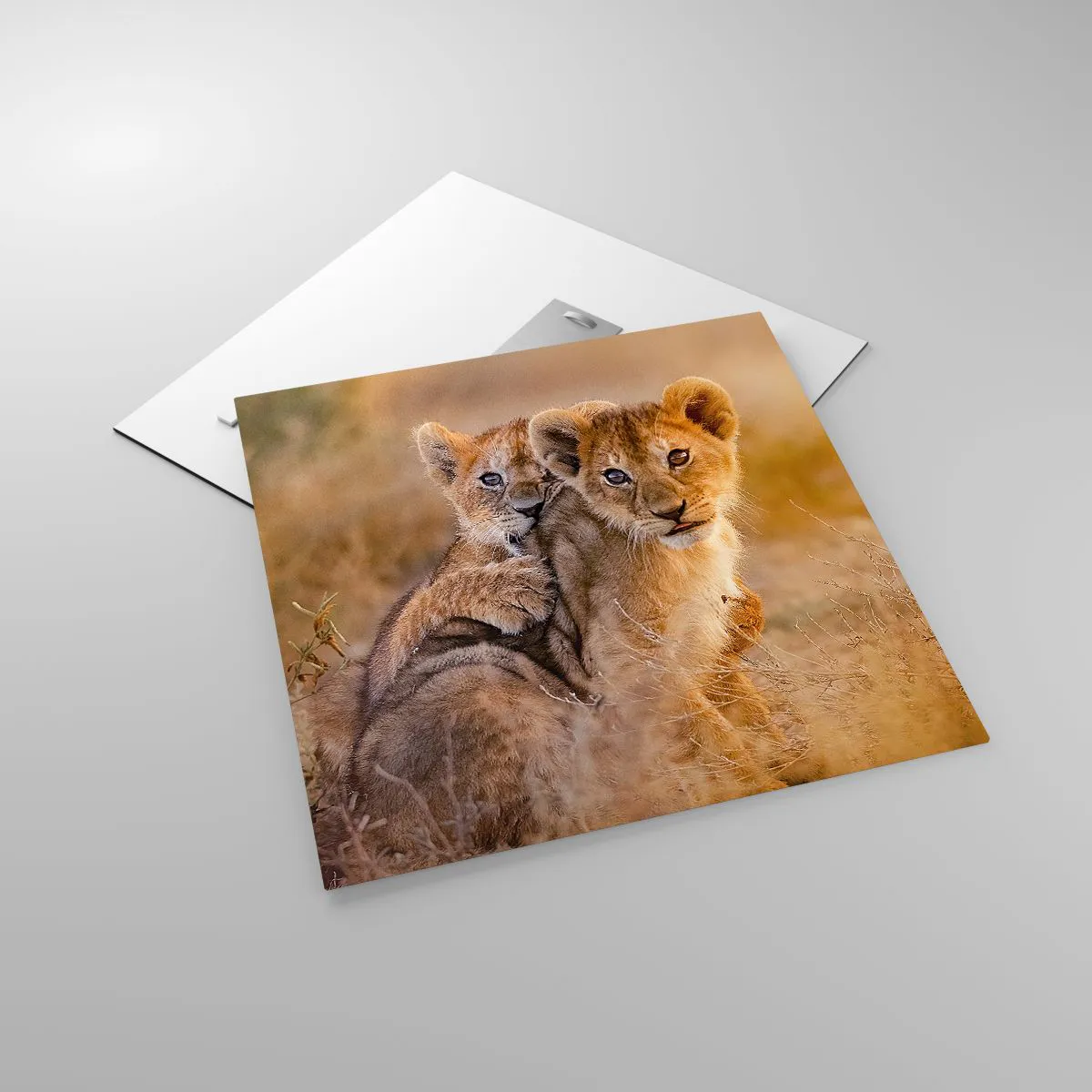 Üveg kép - Ne zavarni! Szórakozunk - 50x50 cm