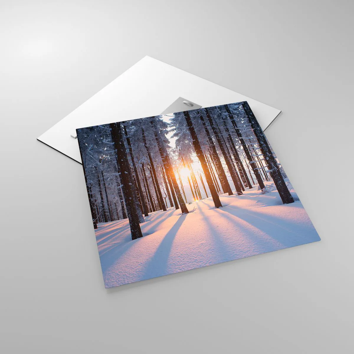 Tablou pe sticlă - În mod clar în alb și negru - 50x50 cm