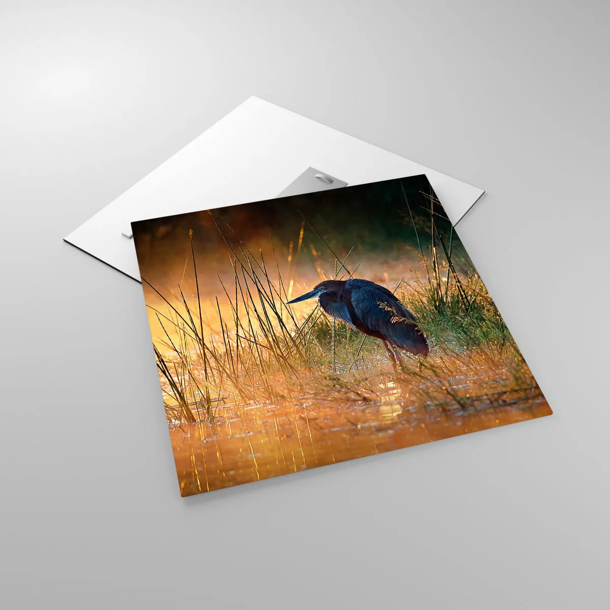 Üveg kép - Hagyjatok békén ezekkel a fotókkal - 50x50 cm