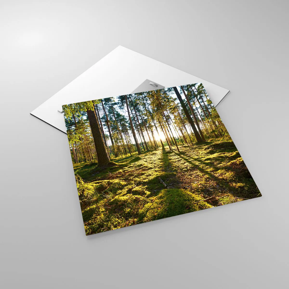 Impression sur verre - Image sur verre - … Derrière les sept forêts - 50x50 cm