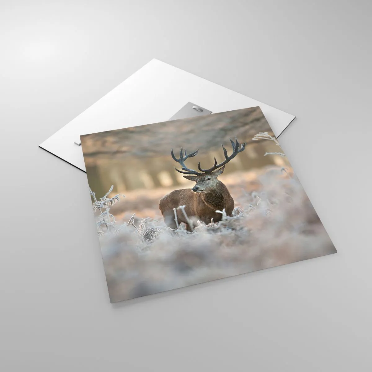 Obraz na szkle - Rześki poranek - 50x50 cm