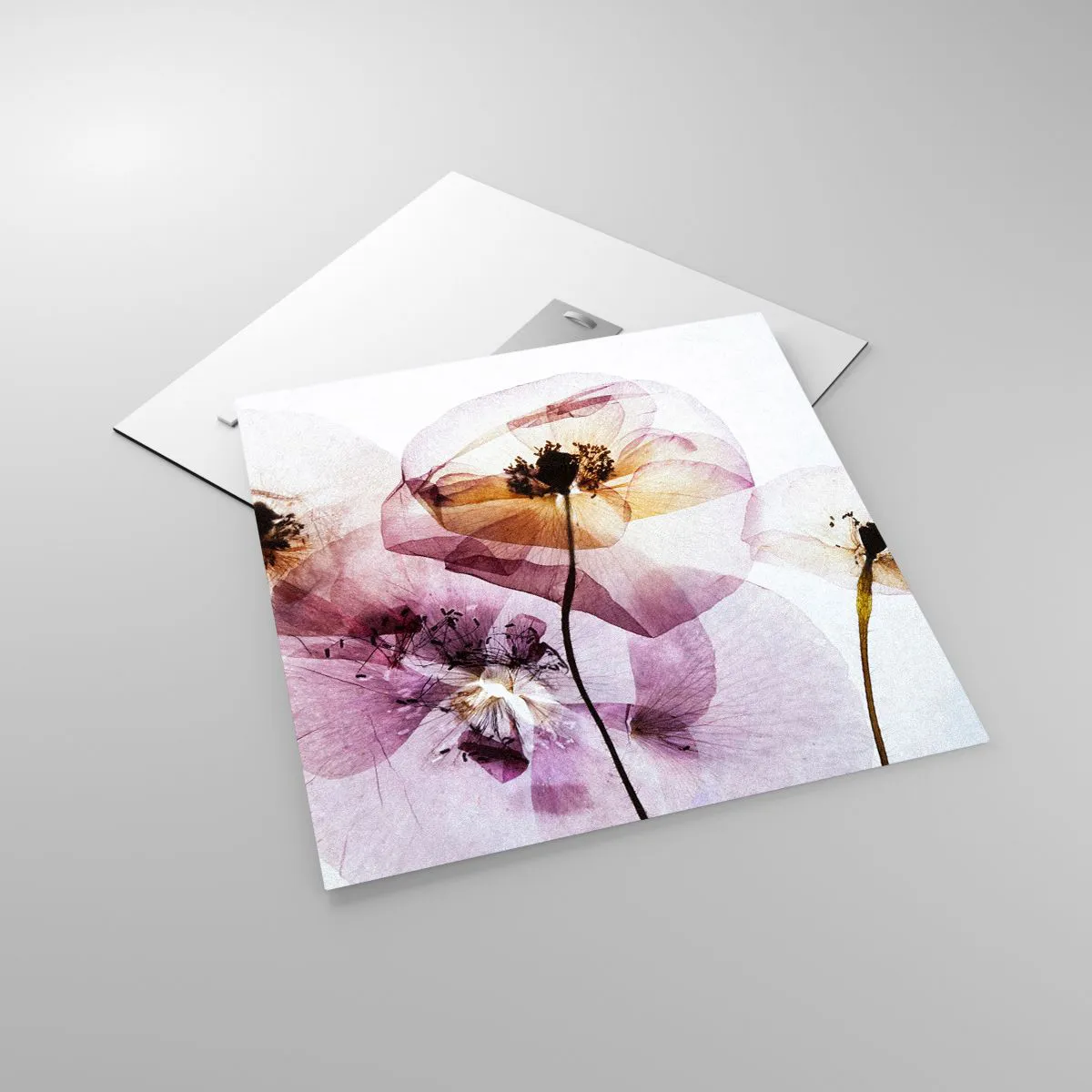 Impression sur verre - Image sur verre - Corps de fleurs transparente - 50x50 cm