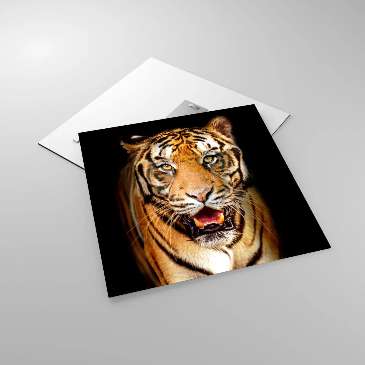 Obraz na szkle - Dzikość serca - 50x50 cm