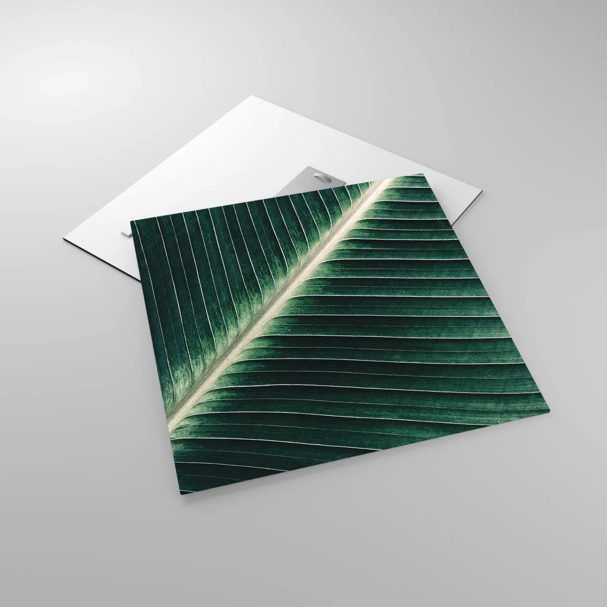 Üveg kép - A természet ritmusa - 50x50 cm