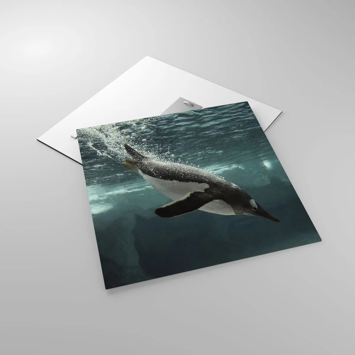 Impression sur verre - Image sur verre - Bienvenue dans mon monde - 50x50 cm