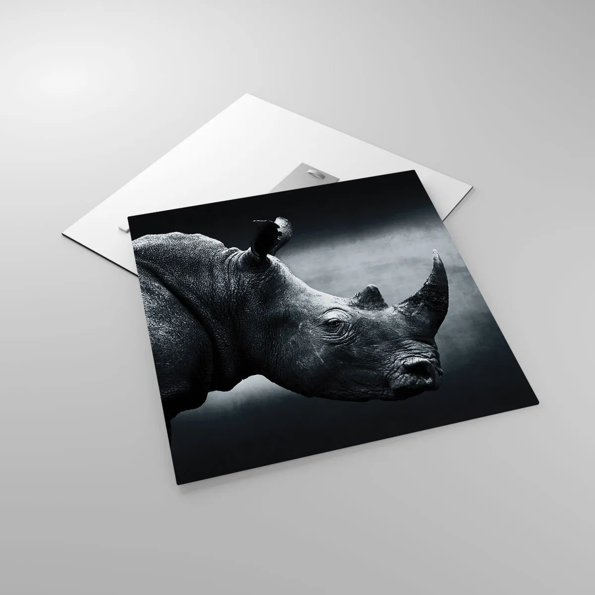 Glasbild - Bild auf glas - Richtiges Profil - 50x50 cm