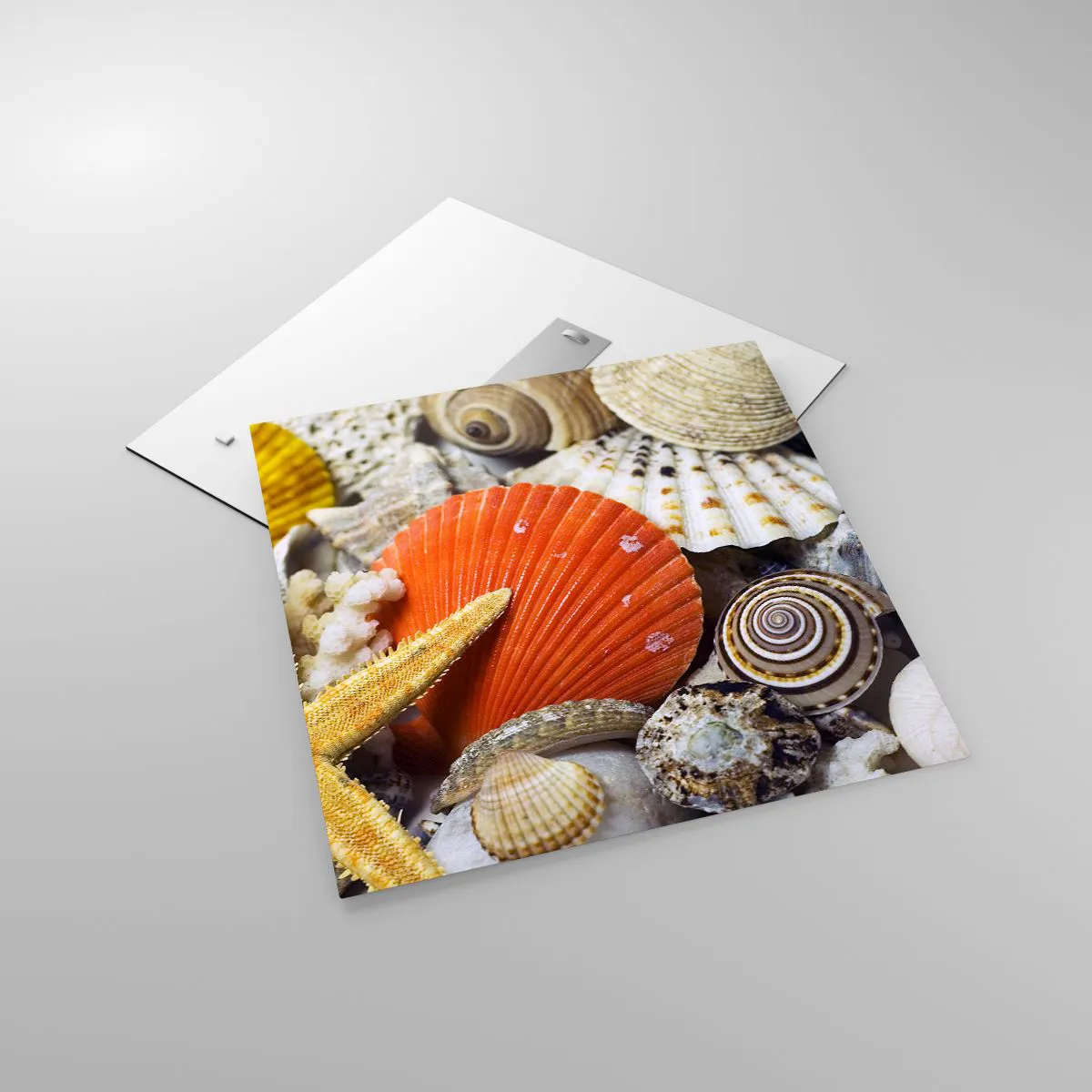 Quadro su vetro - Tesori dell'oceano - 60x60 cm