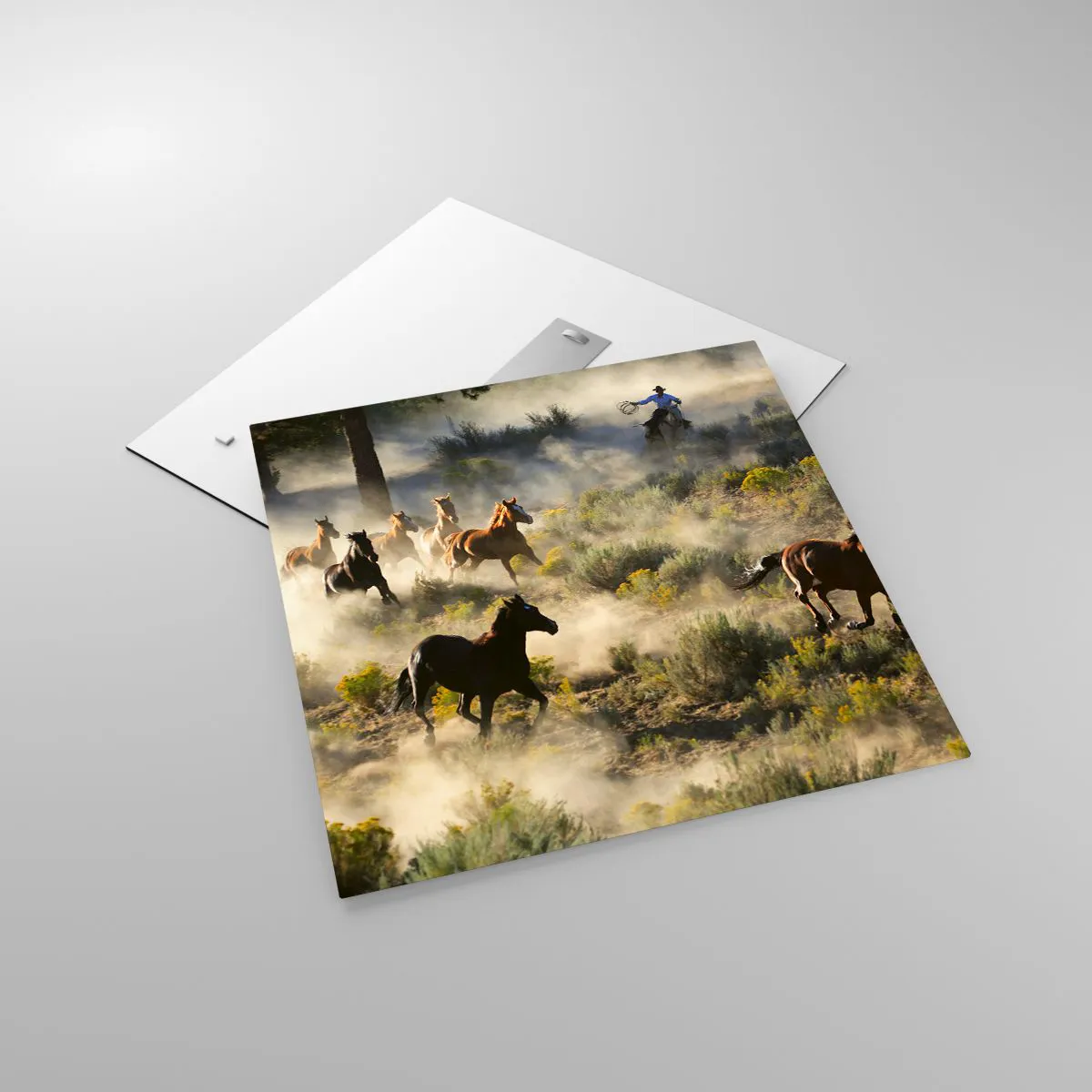 Glasbild - Bild auf glas - Rivalität – Freiheit oder männliche Stärke? - 60x60 cm