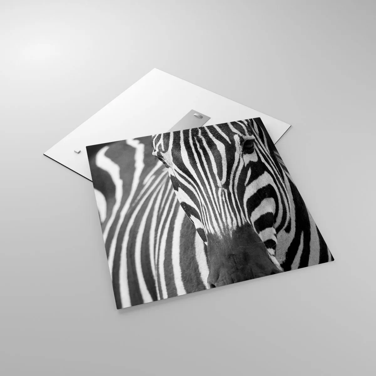 Impression sur verre - Image sur verre - Le monde est noir et blanc - 60x60 cm