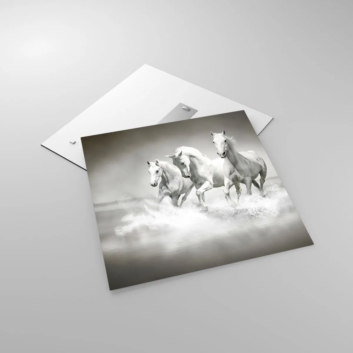 Glass picture - White Madness - 60x60 cm