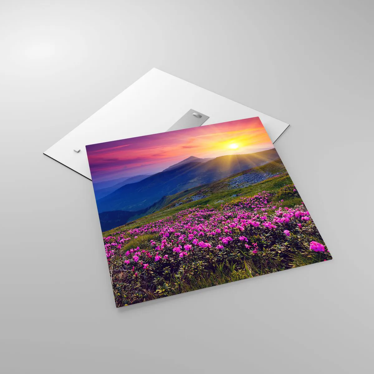 Obraz na skle - …A okolo vonia kosodrevina a voňajú byliny - 60x60 cm