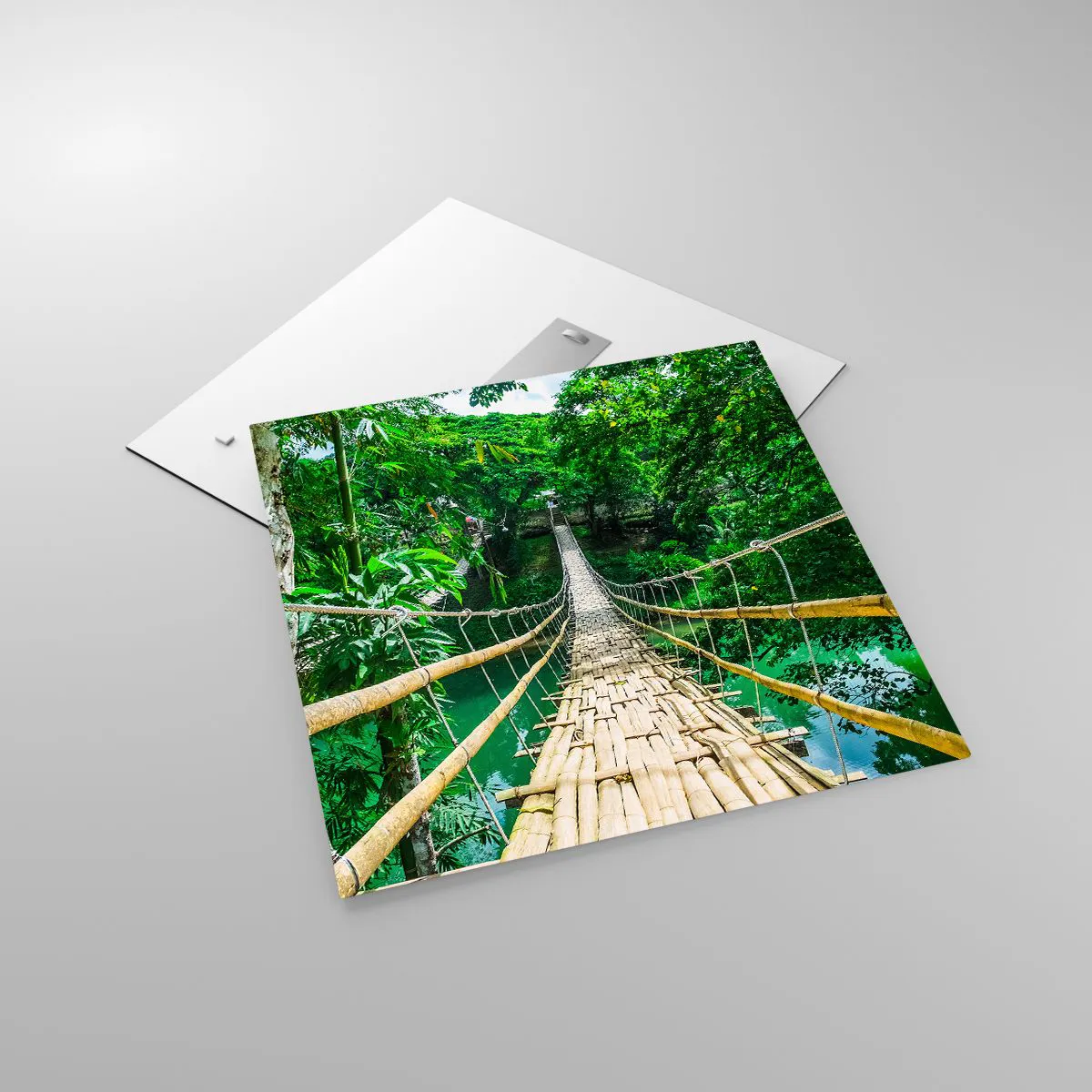 Üveg kép - Majomhíd a zöld felett - 60x60 cm