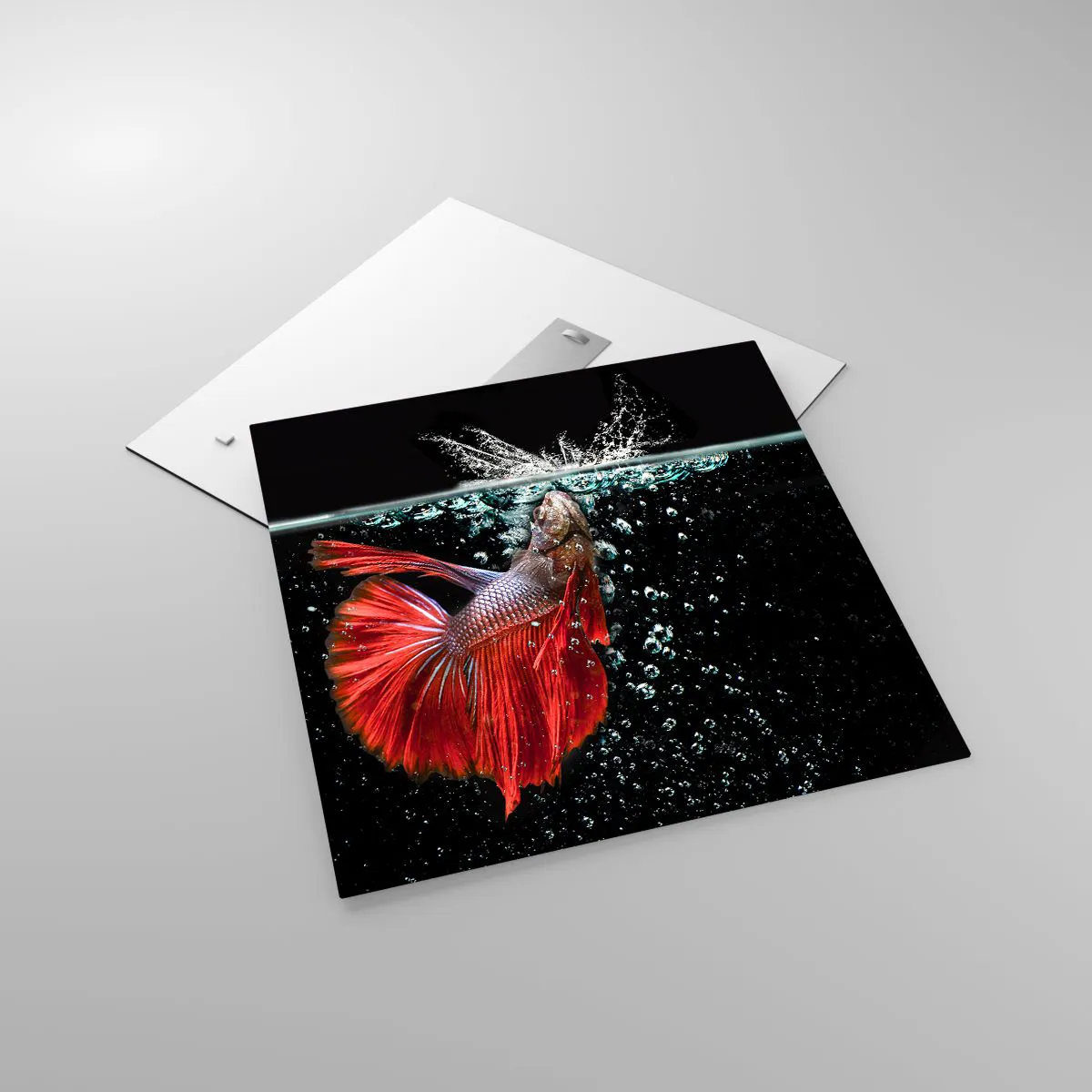 Üveg kép - Három kívánságod van - 60x60 cm