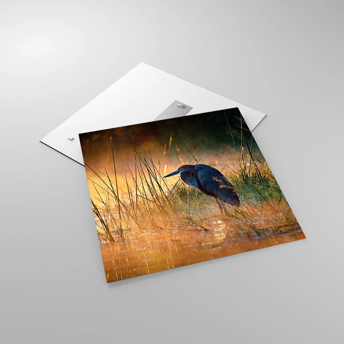 Üveg kép - Hagyjatok békén ezekkel a fotókkal - 60x60 cm