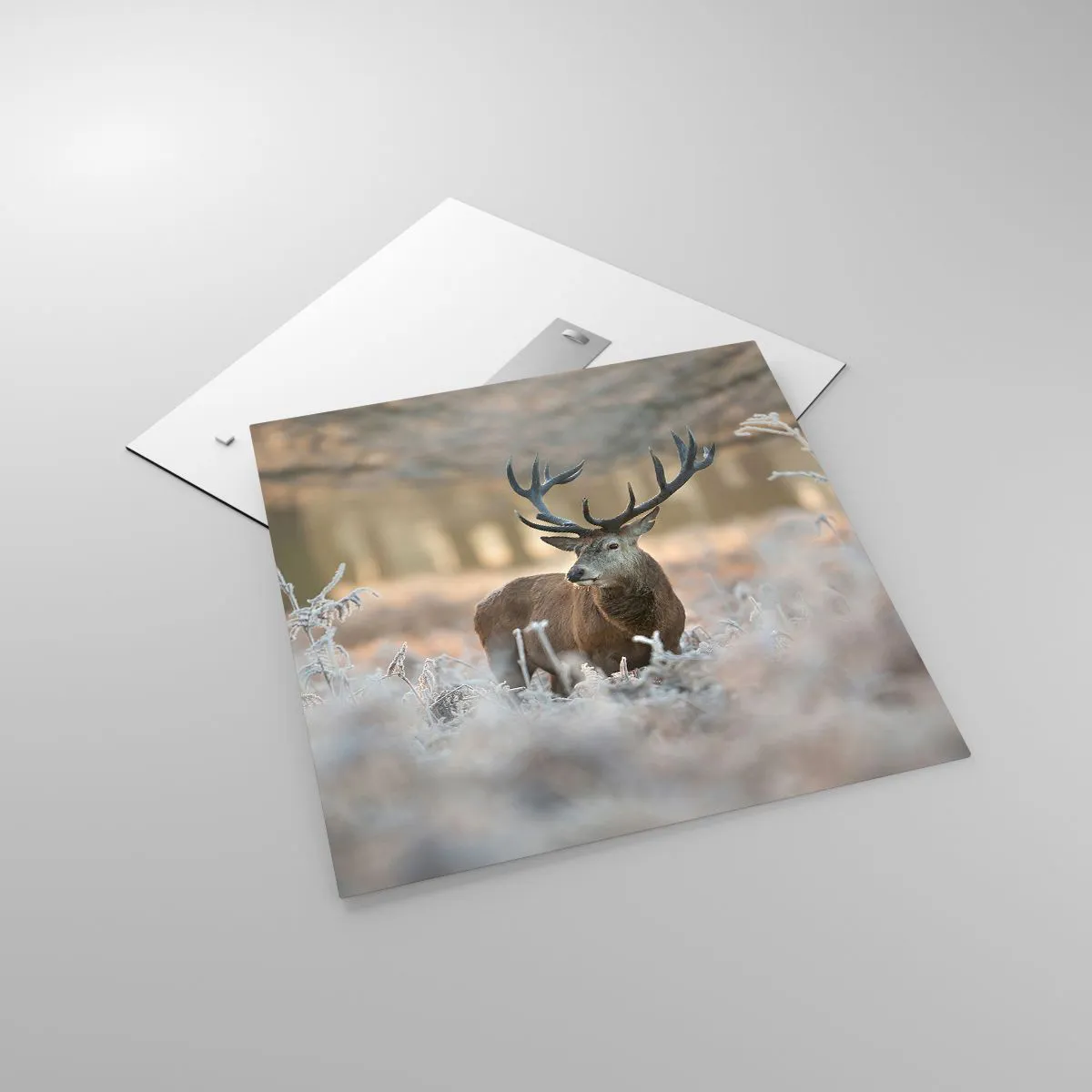 Obraz na szkle - Rześki poranek - 60x60 cm